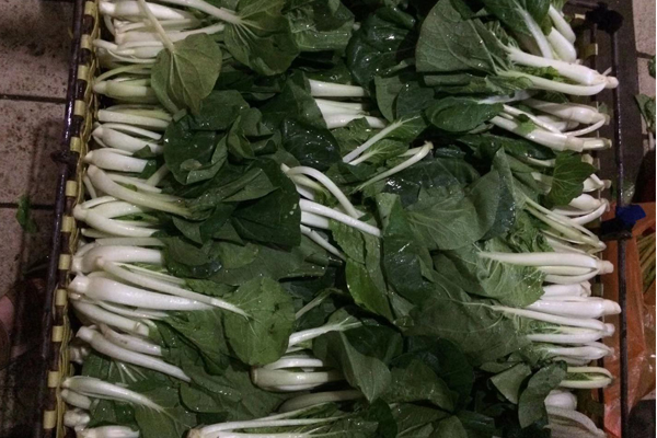 學校食堂蔬菜配送